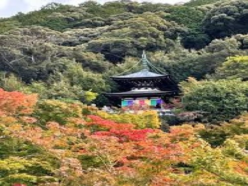 京都湯の花温泉に泊まる！伊勢神宮のふるさと「籠神社」とお気に入りの仏像を見つける2日間
