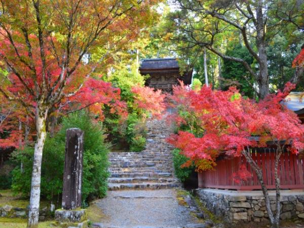 弘法大師霊場　高雄山　神護寺