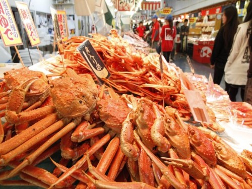 お一人様一杯！越前がにコース料理　