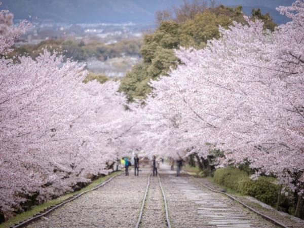 蹴上のインクライン（イメージ）