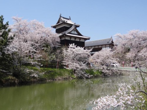 歴史ドラマツアー「豊臣兄弟」第3弾!!