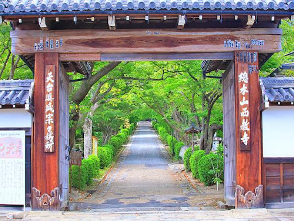 【西教寺】「客殿」を貸し切っての特別公開＆住職によるご案内