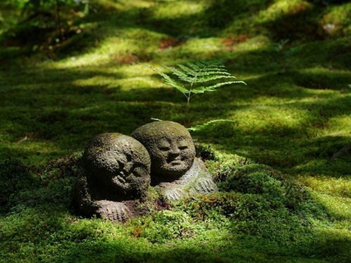 ～新緑の大原散策～　三千院＆大原野菜たっぷりランチ