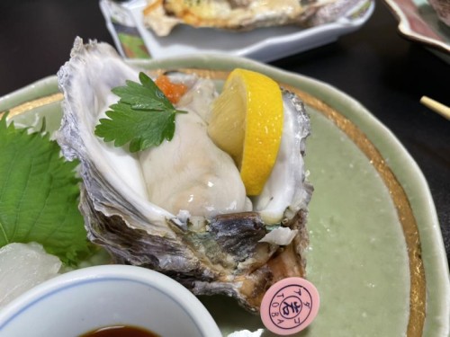【催行決定】「民宿北川」岩牡蠣フルコース料理＆海の博物館