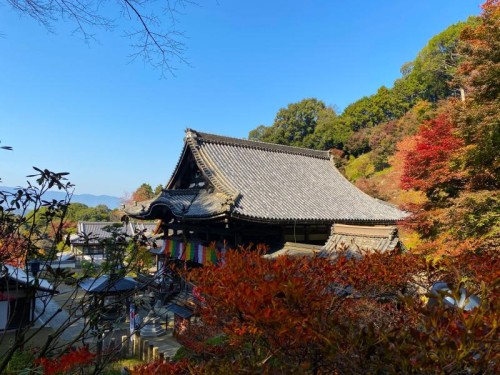 大和もみじ回廊　壷阪寺＆岡寺　お寺で食べる古代飛鳥御膳