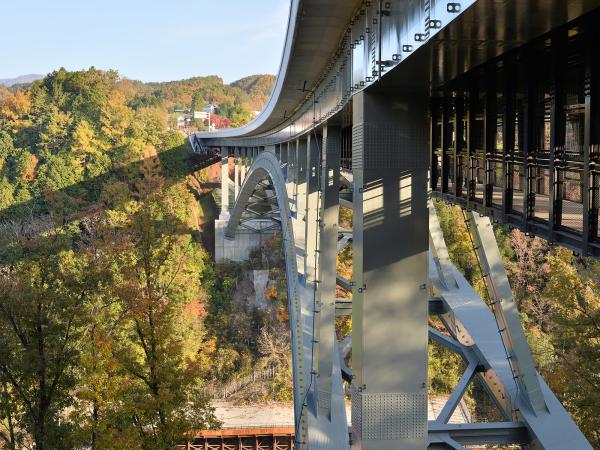 紅葉の名所「天龍峡」でそらさんぽ！※その他情報